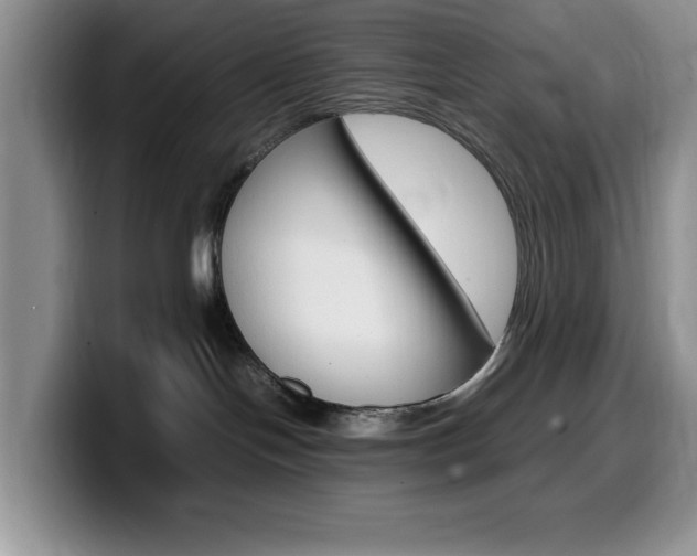 X0000100230094200805300733
