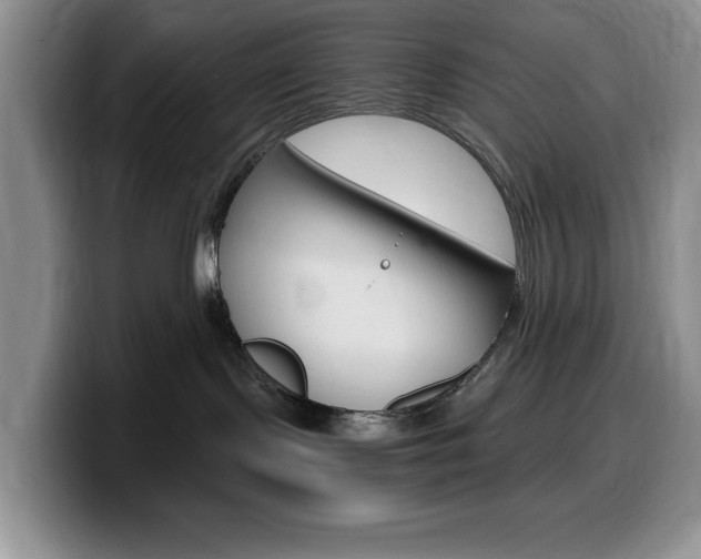 X0000100230095200805300733