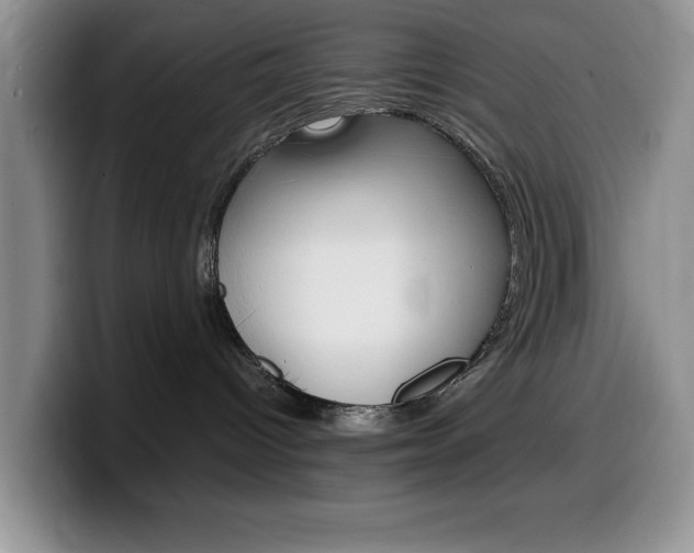 X0000100230096200805300733