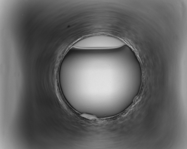 X0000100230097200805300732