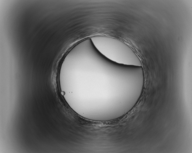 X0000100230098200805300732