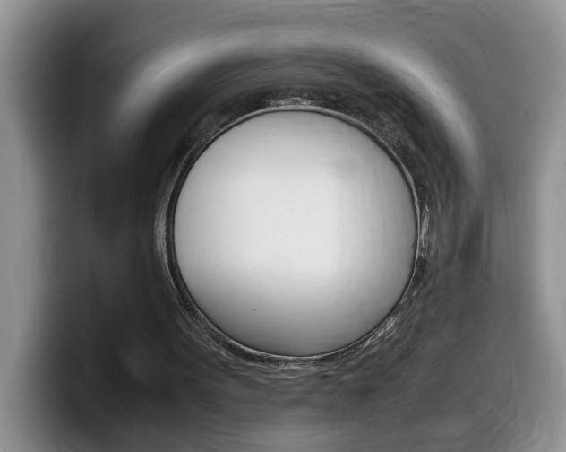 X0000100230099200805300732