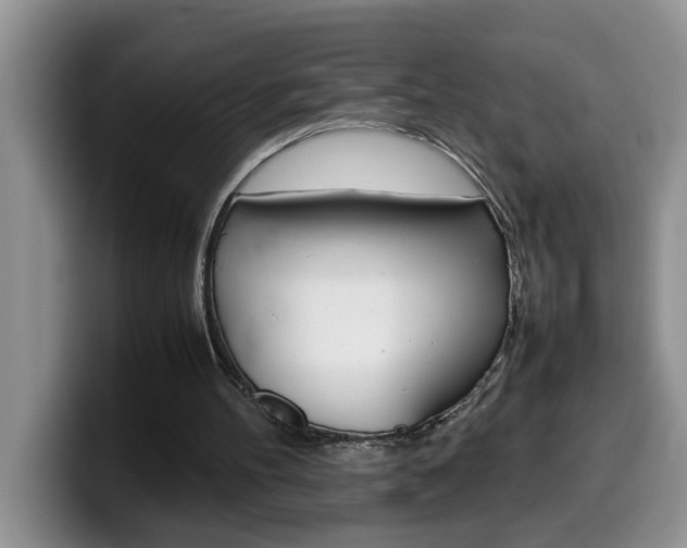 X0000100230100200805300732