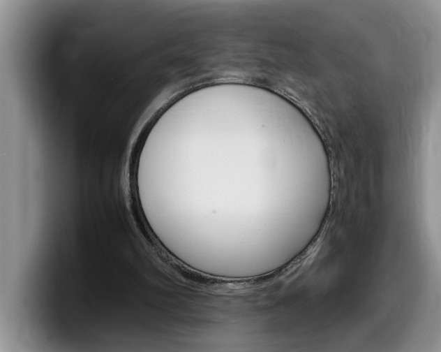 X0000100230102200805300732