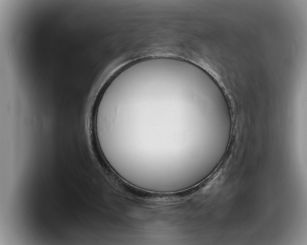 X0000100230103200805300732