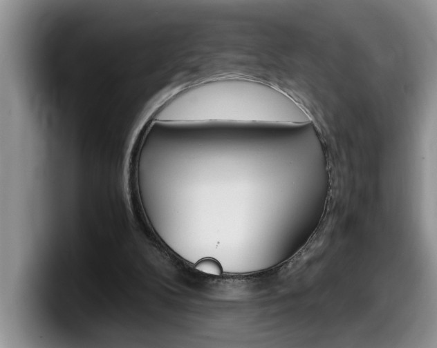 X0000100230104200805300732