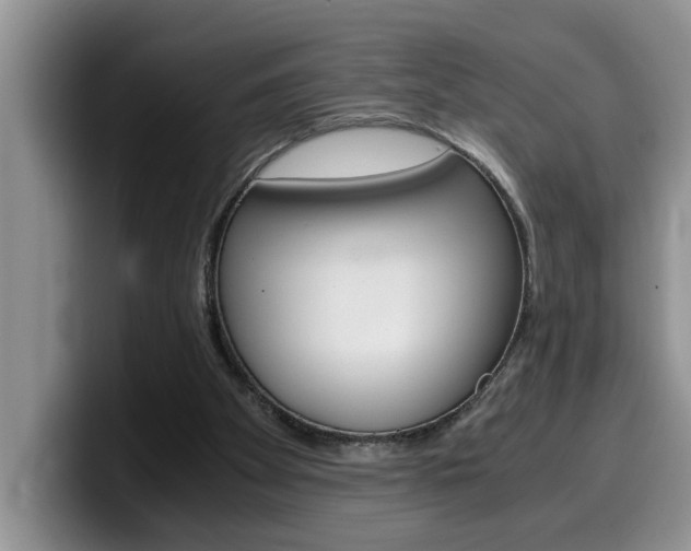 X0000100230105200805300732