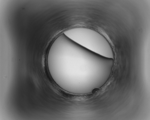 X0000100230106200805300732