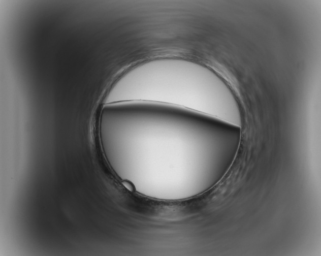 X0000100230107200805300732