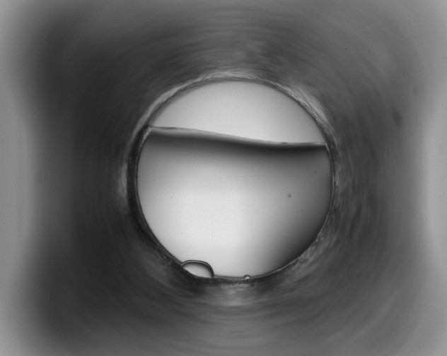 X0000100230108200805300732