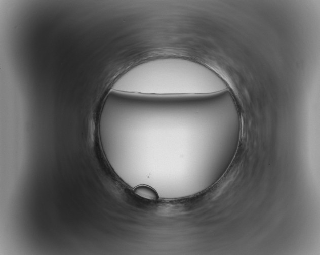 X0000100230109200805300732