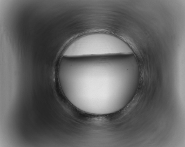 X0000100230112200805300732