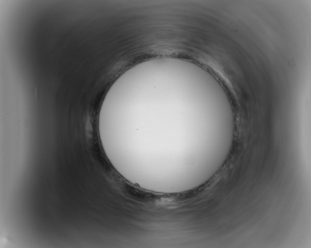 X0000100230114200805300732