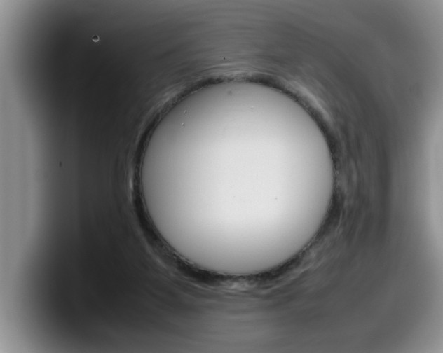 X0000100230115200805300732
