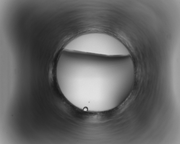 X0000100230116200805300732