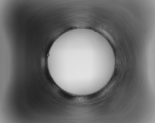 X0000100230117200805300732