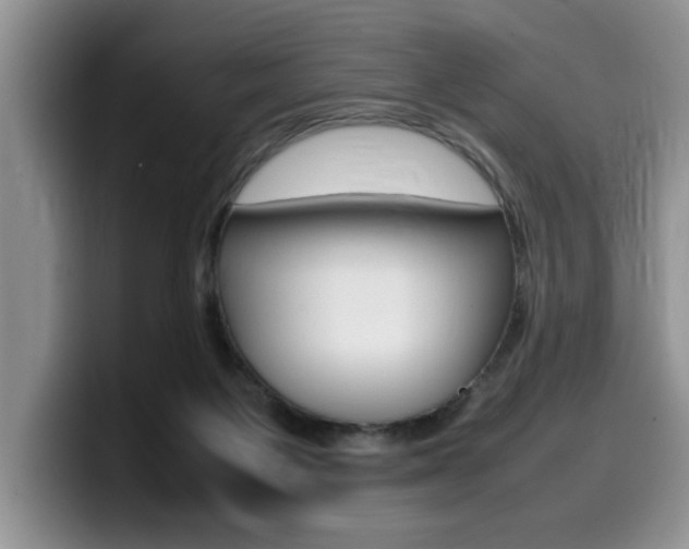 X0000100230119200805300732
