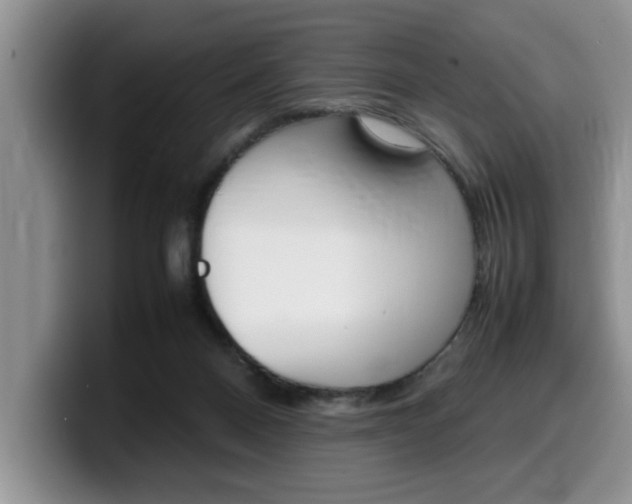 X0000100230120200805300732