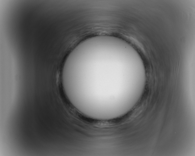 X0000100230123200805300732