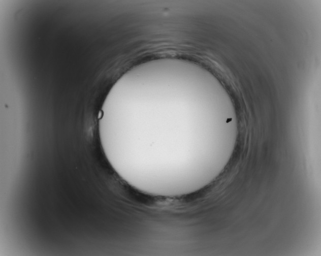 X0000100230125200805300732