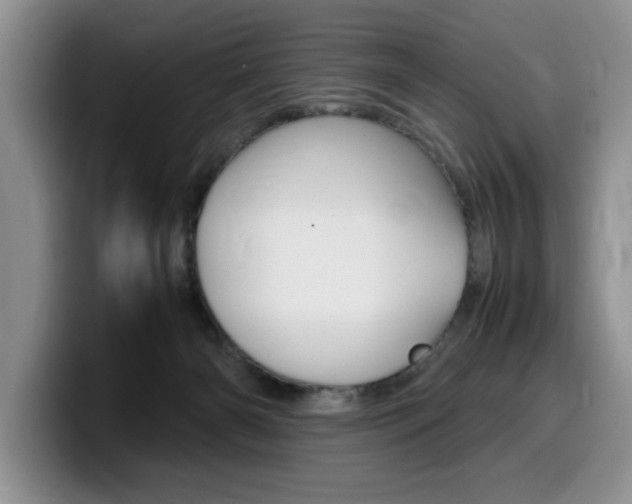 X0000100230126200805300732