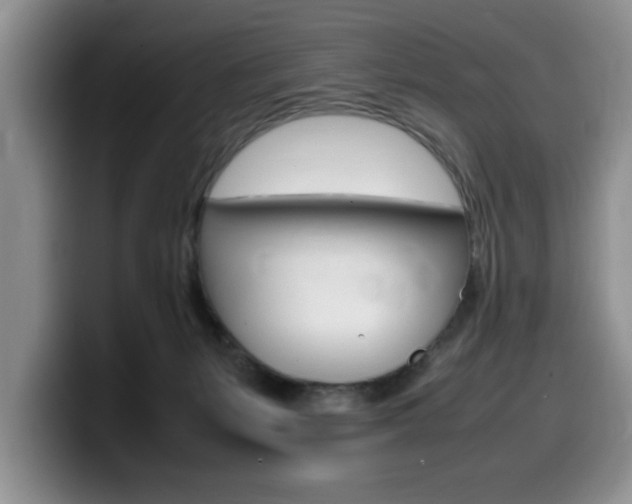 X0000100230127200805300732