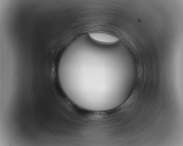 X0000100230128200805300732