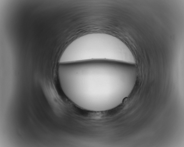 X0000100230131200805300732