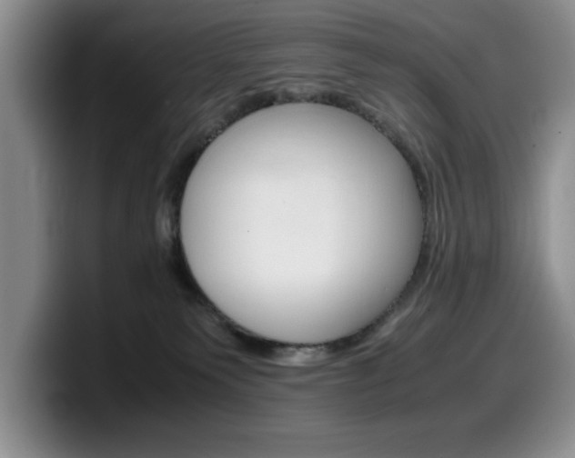 X0000100230135200805300732