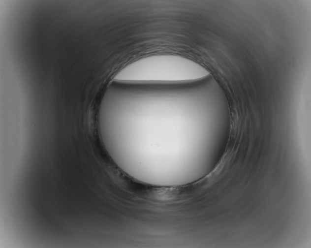X0000100230136200805300732