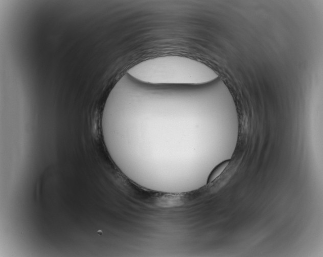 X0000100230138200805300732