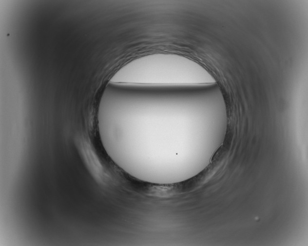 X0000100230139200805300732