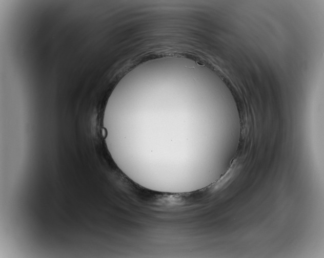 X0000100230140200805300732