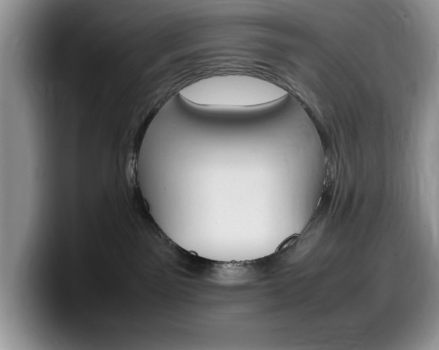 X0000100230141200805300732