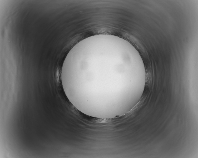 X0000100230142200805300732