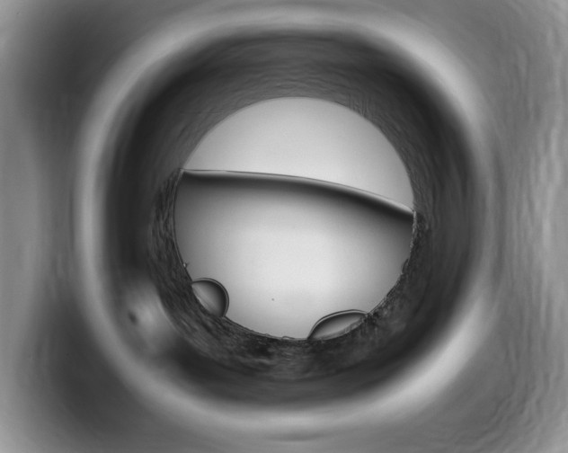 X0000100230143200805300732