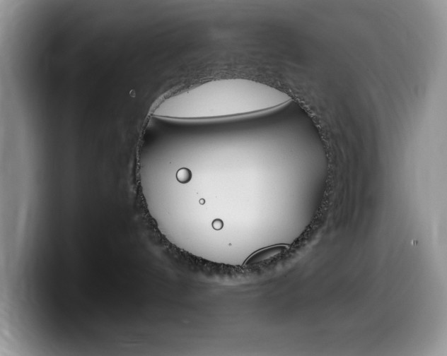 X0000100230144200805300732