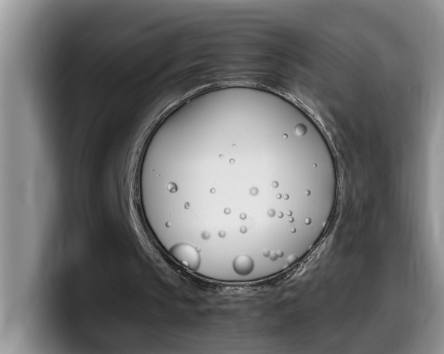 X0000100230145200805300731