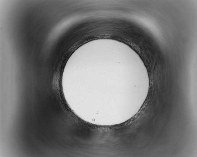 X0000100230146200805300731