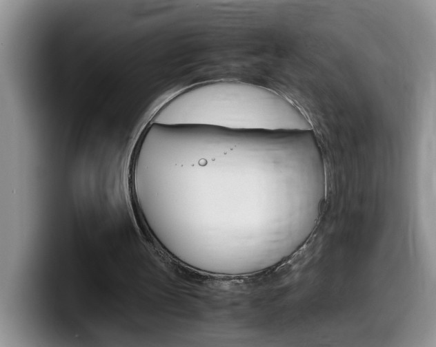 X0000100230147200805300731