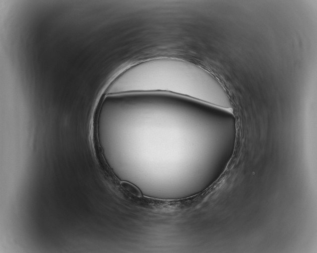 X0000100230148200805300731