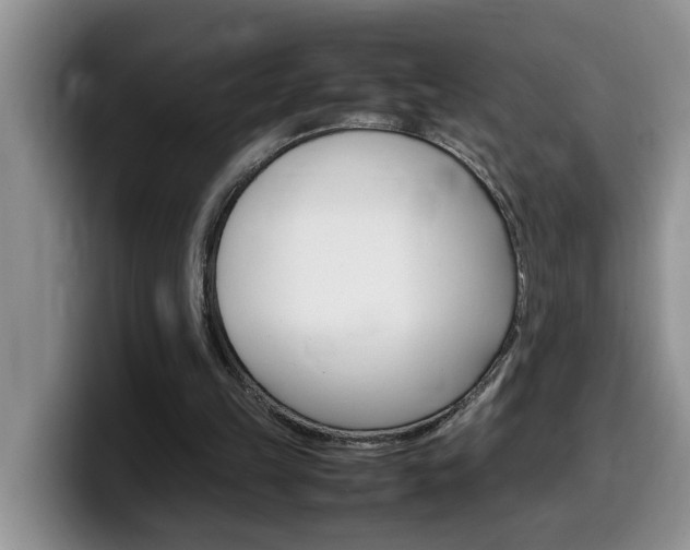 X0000100230149200805300731