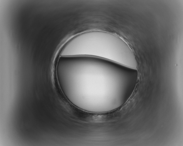 X0000100230152200805300731