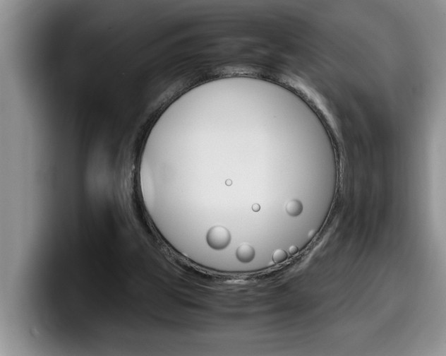X0000100230153200805300731