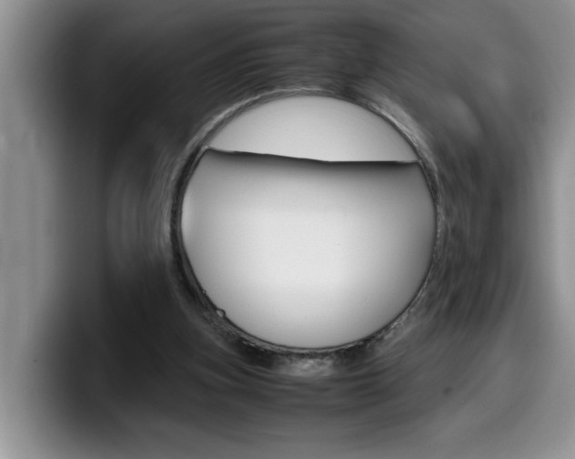 X0000100230155200805300731