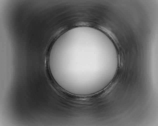 X0000100230157200805300731