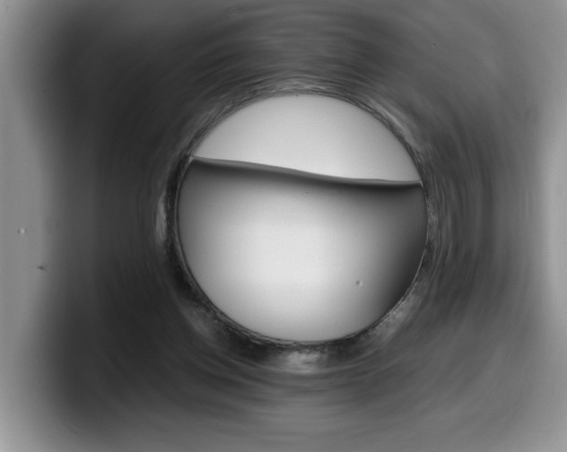 X0000100230158200805300731