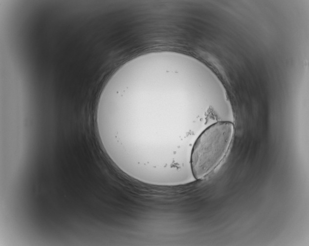 X0000100230162200805300731