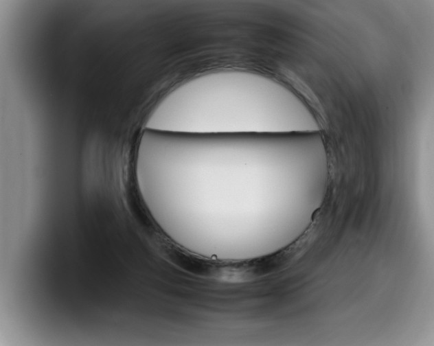 X0000100230163200805300731