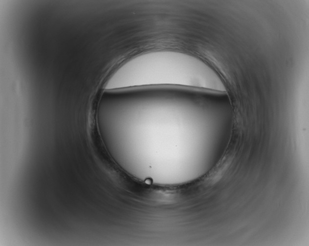 X0000100230164200805300731